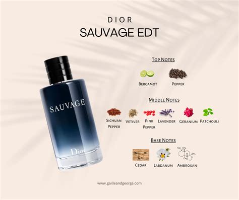 Dior sauvage cologne top notes